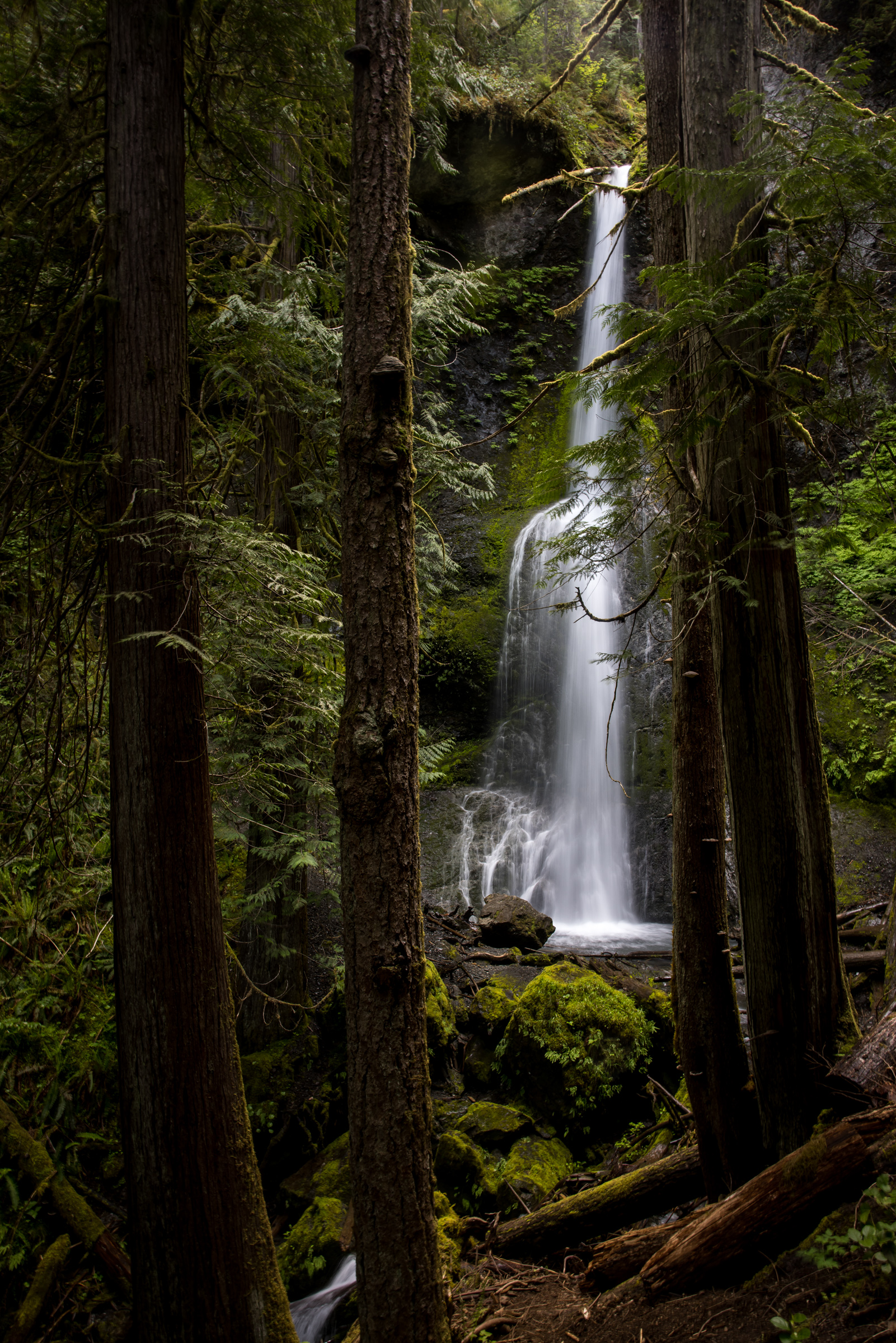 JASON SPETH LANDSCAPE 24